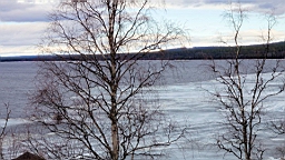 17_02727.JPG