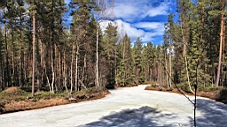 2017-05-25--18829.JPG