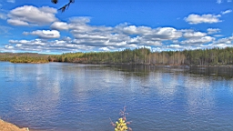 2017-05-25--18830.JPG