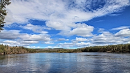 2017-05-25--18833.JPG