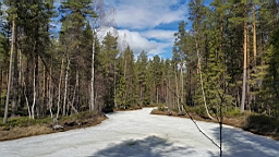 20170525_124140.jpg