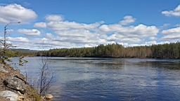 20170525_124449.jpg
