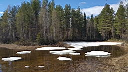 20170525_124509.jpg
