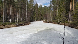 20170525_130018.jpg