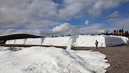 2017-05-26--18872.JPG