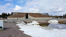 20170526_154957.jpg