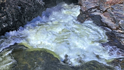 2017-05-27--18902.JPG