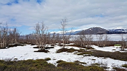20170527_111723.jpg