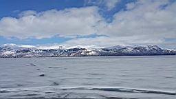 20170527_115459.jpg