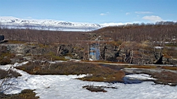20170527_160506.jpg