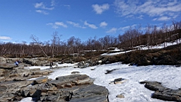 DSC04967.JPG