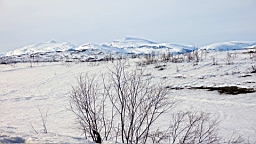 DSC05088.JPG