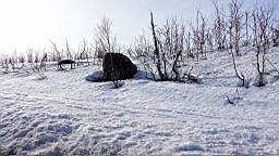 DSC05090.JPG