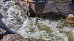 IMG_7633.JPG