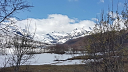 2017-05-28- (28).jpg