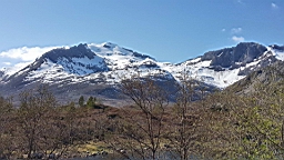 2017-05-28- (57).jpg