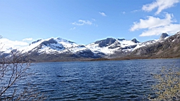 2017-05-28- (59).JPG