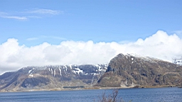 2017-05-31- (35).JPG