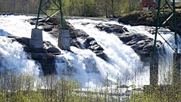 2017-06-02- (061).JPG