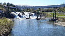 2017-06-02- (062).JPG