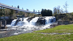 2017-06-02- (064).JPG