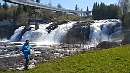 2017-06-02- (069).jpg