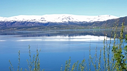 2017-06-02- (075).JPG