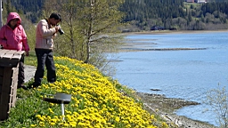 2017-06-02- (078).JPG