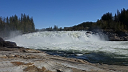2017-06-02- (086).JPG