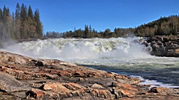 2017-06-02- (092).JPG