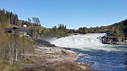 2017-06-02- (096).jpg