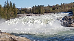 2017-06-02- (097).jpg