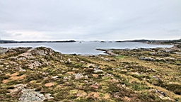 2017-06-04- (22).JPG