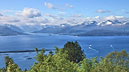 2017-06-05- (28).JPG