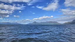 2017-06-05- (37).JPG