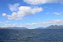 2017-06-05- (41).JPG