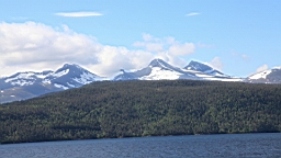 2017-06-05- (42).JPG
