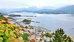 2017-06-06- (41).JPG