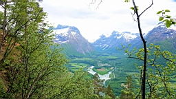 2017-06-06- (68).JPG