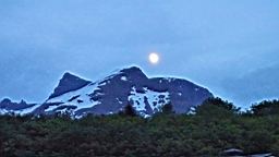 2017-06-06- (92).JPG