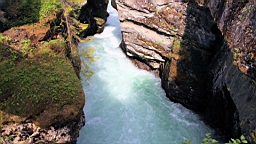2017-06-07- (54).JPG