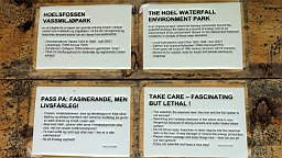 2017-06-07- (57).JPG