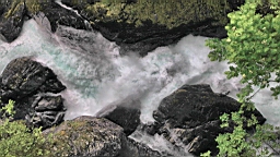 2017-06-08- (101).JPG