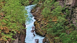 2017-06-08- (102).JPG