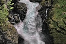 2017-06-08- (103).JPG