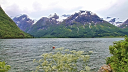 2017-06-08- (110).JPG