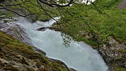 2017-06-08- (83).JPG