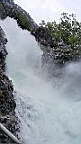 2017-06-08- (90).jpg