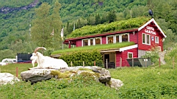 2017-06-09- (77).JPG