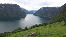 2017-06-13- (129).JPG